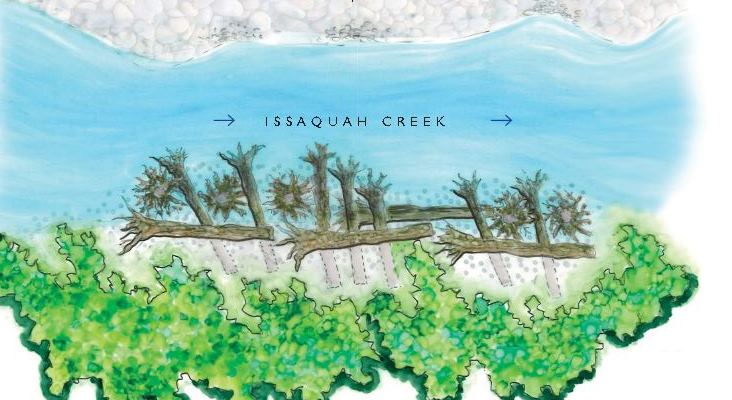 creekbank